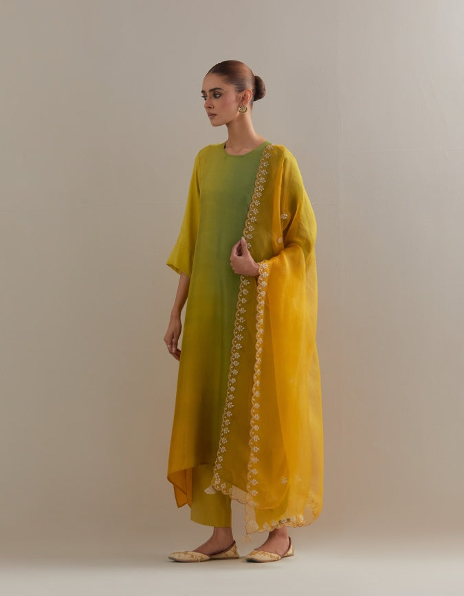 Sage Mustard Ombre Kurta with Scalloped Organza Dupatta and pants