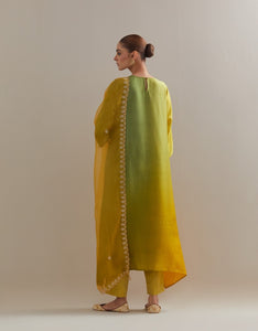 Sage Mustard Ombre Kurta with Scalloped Organza Dupatta and pants