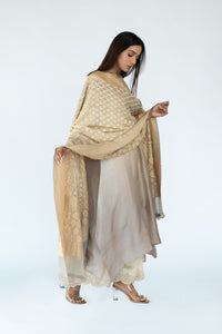 Dark Ivory Ombre Kurta with heavy Banarasi Bandhej Dupatta