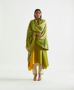 Sage Mustard Ombre Kurta With Heavy Zari Dupatta