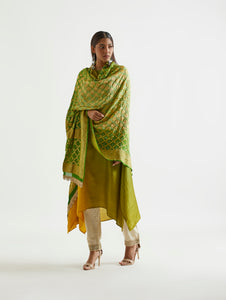 Sage Mustard Ombre Kurta With Heavy Zari Dupatta