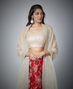 Festive Edit : Banarasi Brocade Lehenga With Sleeveless Choli And Embroidered Organza Dupatta.